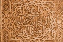 d985d8b9d8b1d983d8a9-d8a7d984d8a3d8add984d8a7d985-d985d8a7d8b0d8a7-d98ad8b9d986d98a-d8b4d8acd8a7d8b1d983-d985d8b9-d8a7d984d8a3d8b3d8af.jpg معركة الأحلام: ماذا يعني شجارك مع الأسد؟