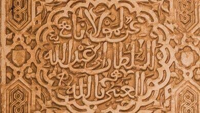 d985d8b9d8b1d983d8a9-d8a7d984d8a3d8add984d8a7d985-d985d8a7d8b0d8a7-d98ad8b9d986d98a-d8b4d8acd8a7d8b1d983-d985d8b9-d8a7d984d8a3d8b3d8af.jpg معركة الأحلام: ماذا يعني شجارك مع الأسد؟