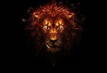 d8a7d984d8a3d8b3d8af-d8a7d984d987d8a7d8afd8a6-d981d98a-d8a7d984d985d986d8a7d985-d985d8a7d8b0d8a7-d98ad8aed8a8d8b1d983-d8add984d985d983.jpg الأسد الهادئ في المنام: ماذا يخبرك حلمك؟