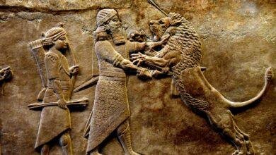 d987d8acd988d985-d8a7d984d8a3d8b3d8af-d8a7d984d8b5d8bad98ad8b1-d981d98a-d985d986d8a7d985-d8a7d984d8b9d8b2d8a8d8a7d8a1-d985d8a7d8b0d8a7.jpg هجوم الأسد الصغير في منام العزباء: ماذا يعني؟