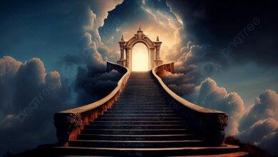 تفسير حلم استفراغ حشرات: رسائل خفية للمتزوجة؟