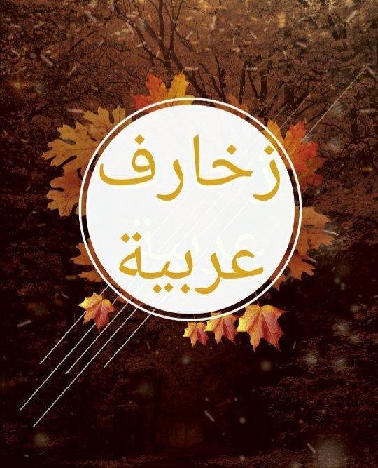 20200118 170847 20756025146 - تفسير حلم كلب أسود يلاحقني: رحلة في دهاليز النفس