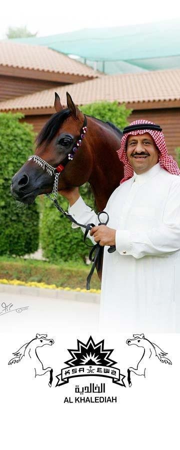 تفسير حلم حصان ذهبي: رمزٌ مضيء في منامك؟ 360 900 ad AlMuawad 2017 v2 - تفسير حلم حصان ذهبي: رمزٌ مضيء في منامك؟