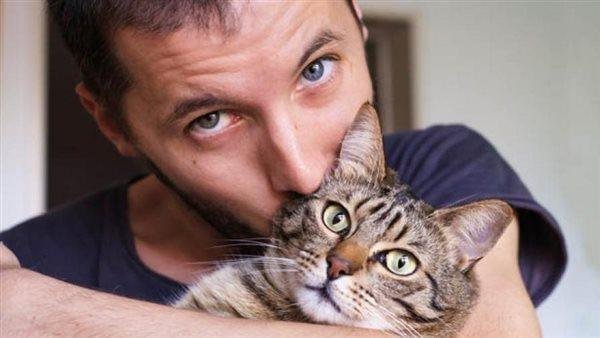 500 - تفسير حلم قطة عيونها زرقاء: غموضٌ ساحرٌ في المنام