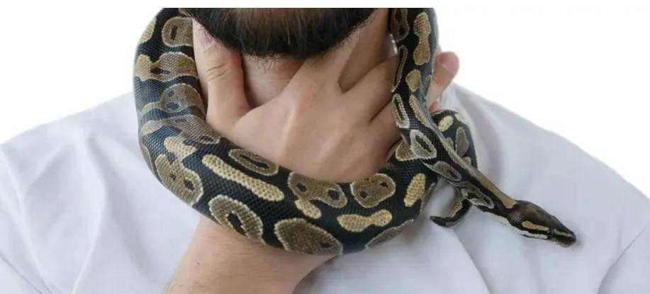 تفسير حلم ثعبان يلتف حول طفلي: دلالات ورموز خفية 63971 25D8 25A7 25D9 2584 25D8 25AB 25D8 25B9 25D8 25A8 25D8 25A7 25D9 2586 - تفسير حلم ثعبان يلتف حول طفلي: دلالات ورموز خفية