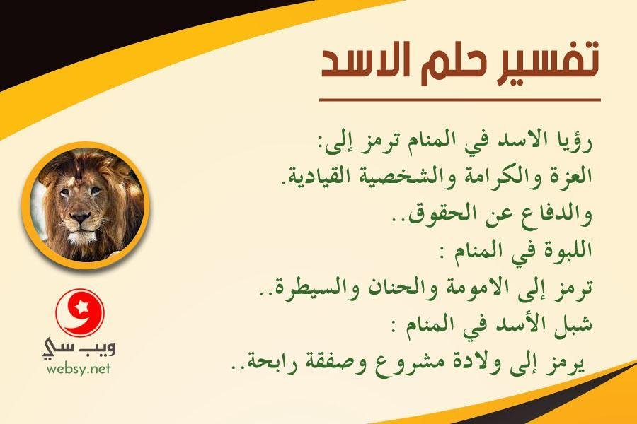dream lion.jpg68906b398387c - هجوم الأسد الصغير في منام العزباء: ماذا يعني؟