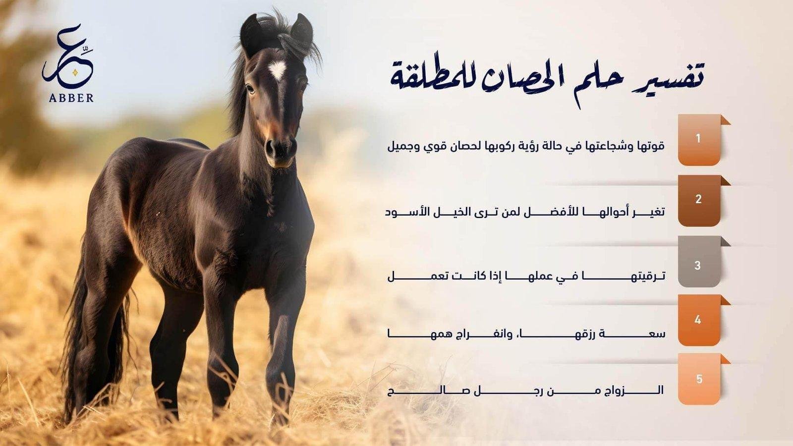 hbules.jpg66497589cf14f - تفسير حلم حصان وجمال: رموز من عالم الأحلام