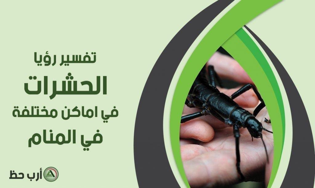 insects in dream by places 1024x614.jpg664d572757b42 - تفسير حلم استفراغ حشرات: رسائل خفية للمتزوجة؟