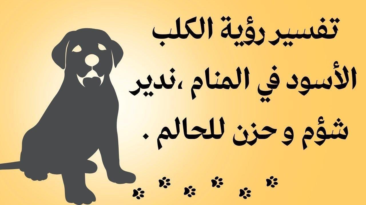 maxresdefault.jpg6640a8be279d9 - تفسير حلم كلاب سوداء: رموز خفية تكشفها الأحلام