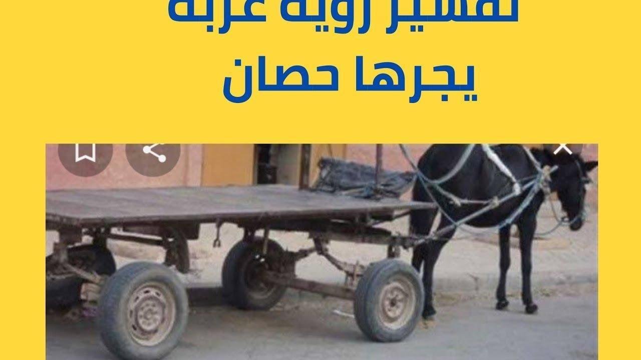 maxresdefault.jpg6647d223d887e.jpg68906e89e862a - تفسير حلم قيادة عربة حصان: رحلة بين الواقع والرمز