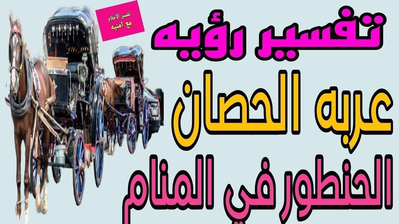 maxresdefault.jpg6652b74253558 - تفسير حلم قيادة عربة حصان: رحلة بين الواقع والرمز