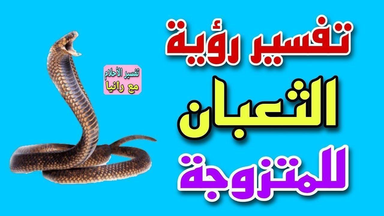maxresdefault.jpg665cb35c51f9b - تفسير حلم الثعابين للمتزوجة: رموز خفية؟