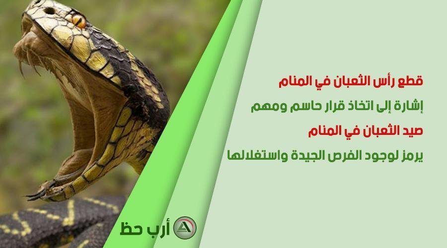 تفسير حلم دخول ثعبان من الفرج للمتزوجة: رمز دفين؟ serpent head - تفسير حلم دخول ثعبان من الفرج للمتزوجة: رمز دفين؟